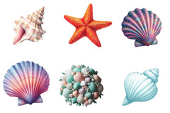 Seashell Clipart Bundle - CraftNest - Digital Crafting and Art