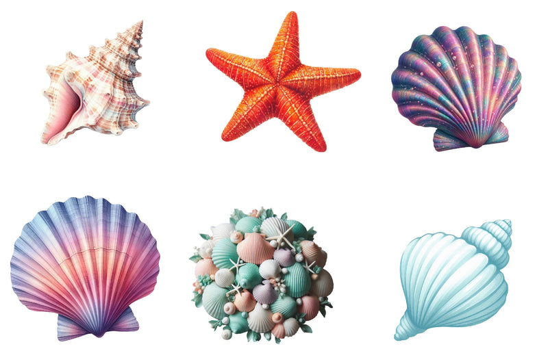 Seashell Clipart Bundle - CraftNest - Digital Crafting and Art