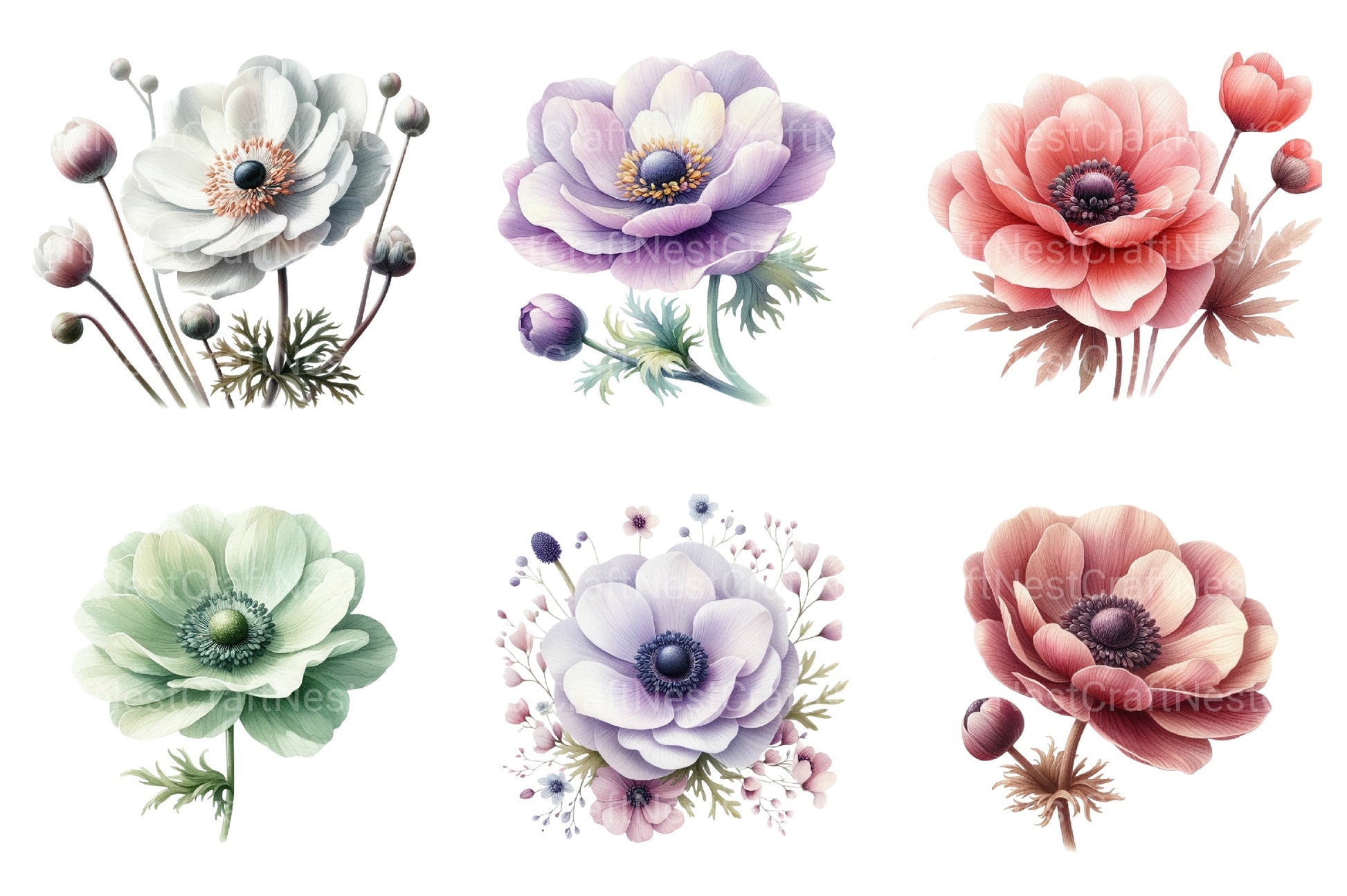 Anemone Flower Bloom Clipart Bundle 33 - CraftNest - Digital Crafting and Art