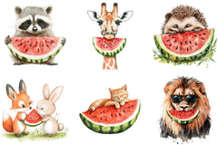 Summer Animals Watermelon Clipart Bundle - CraftNest - Digital Crafting and Art