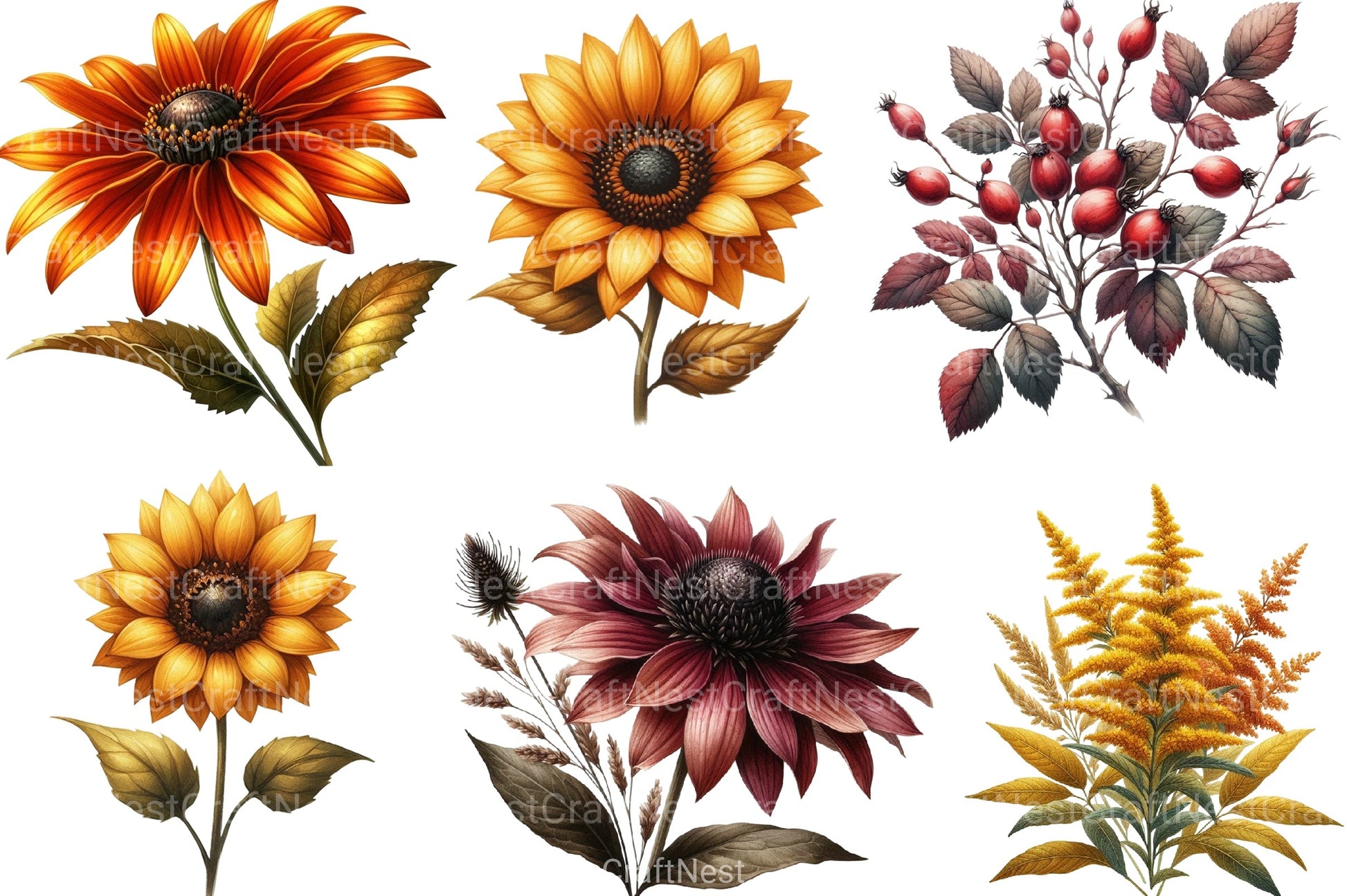 Autumn Wildflowers Clipart Bundle 99 - CraftNest - Digital Crafting and Art