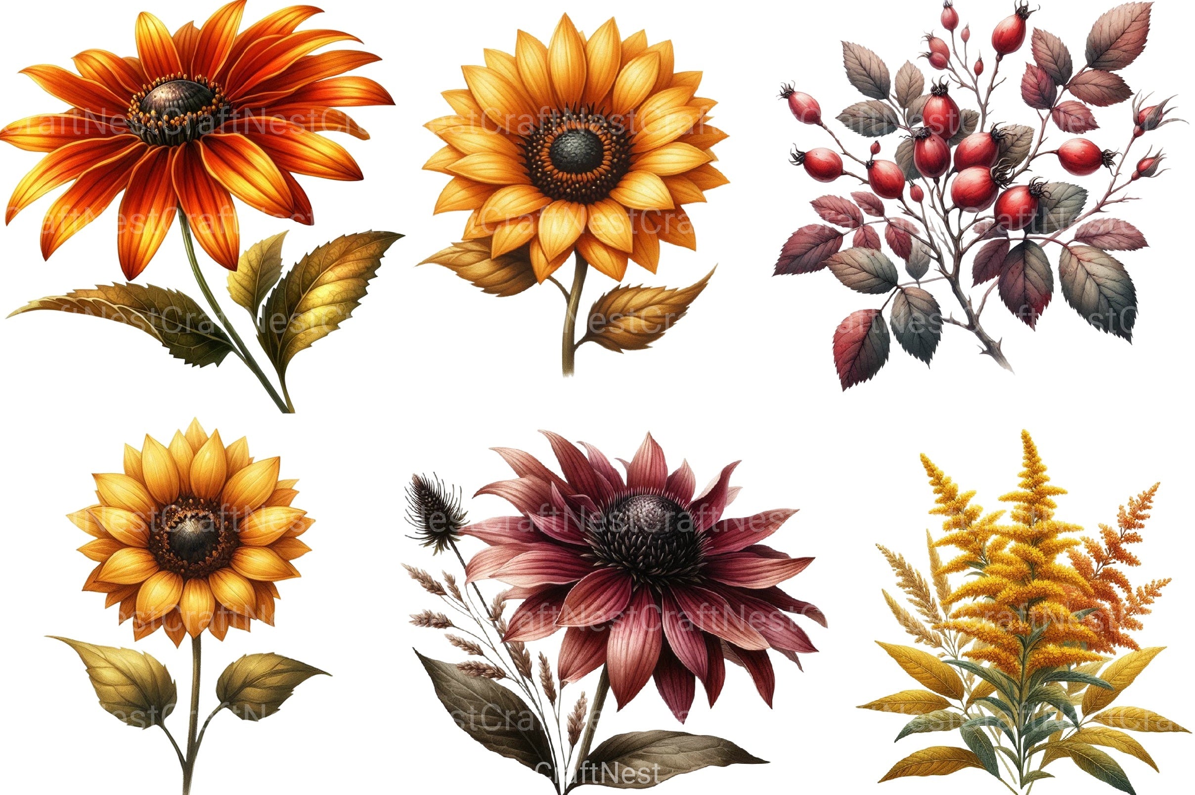 Autumn Wildflowers Clipart Bundle 99 - CraftNest - Digital Crafting and Art