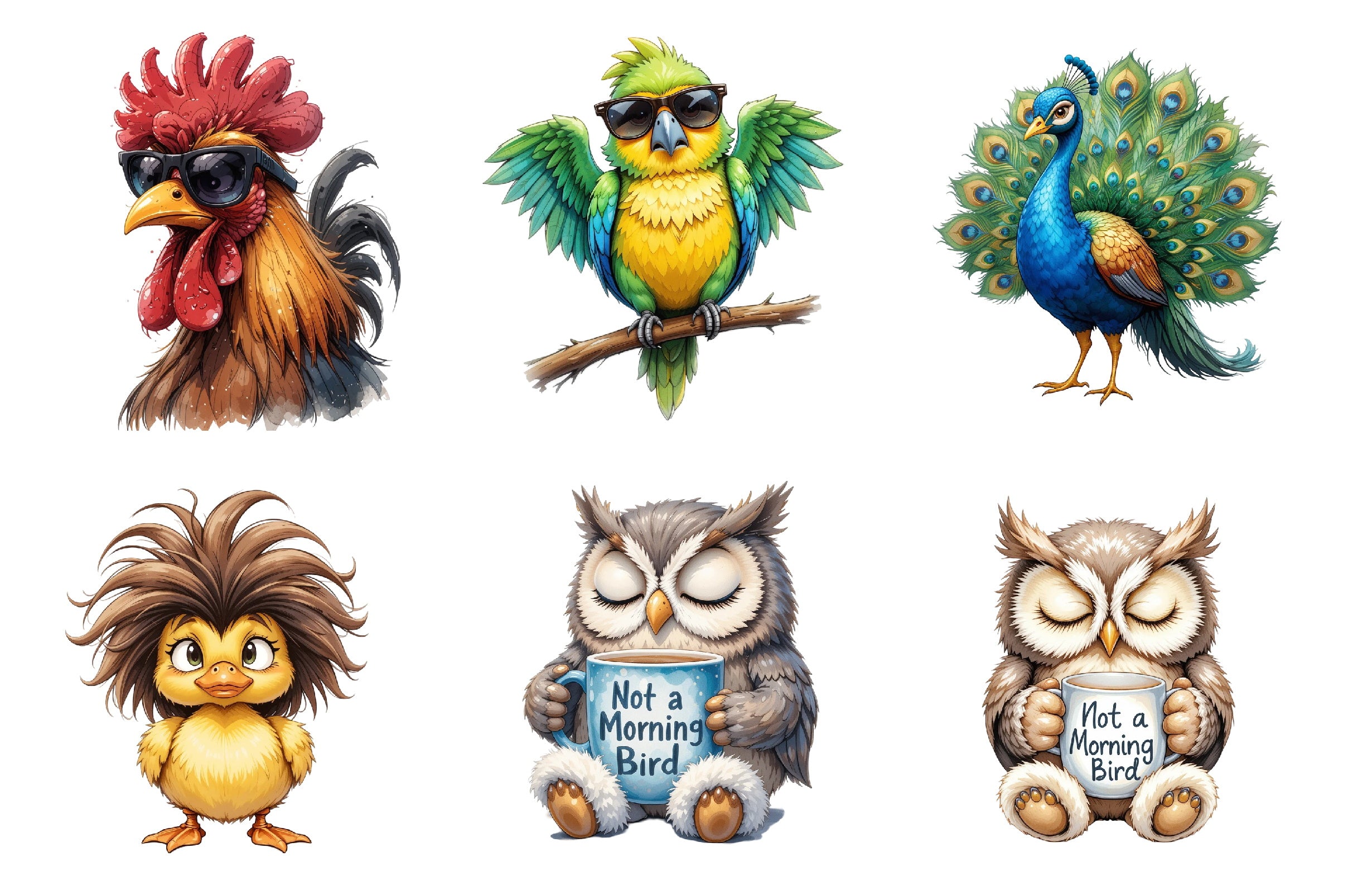 Funny Grumpy Birds Clipart Bundle