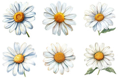 Daisy Flower Bloom Clipart Bundle - CraftNest - Digital Crafting and Art