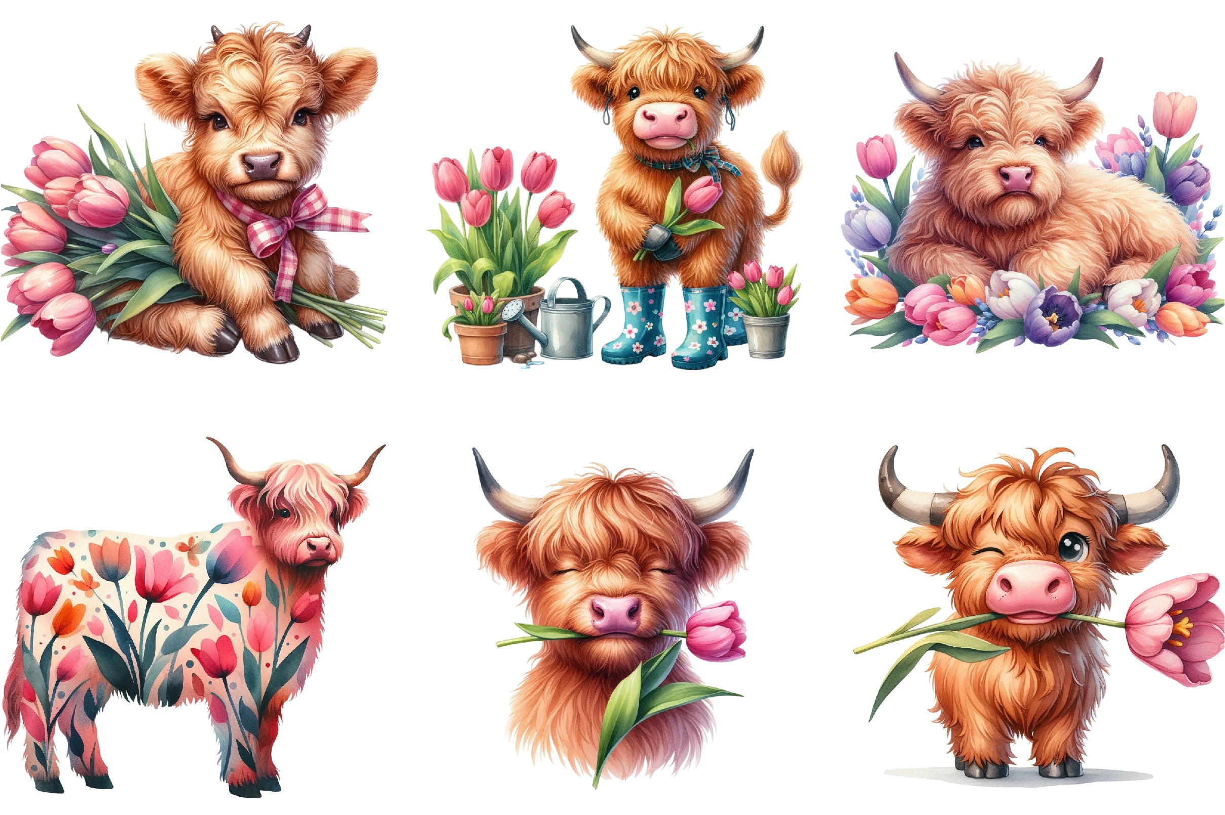 Highland Cow Tulip Flower Clipart Bundle