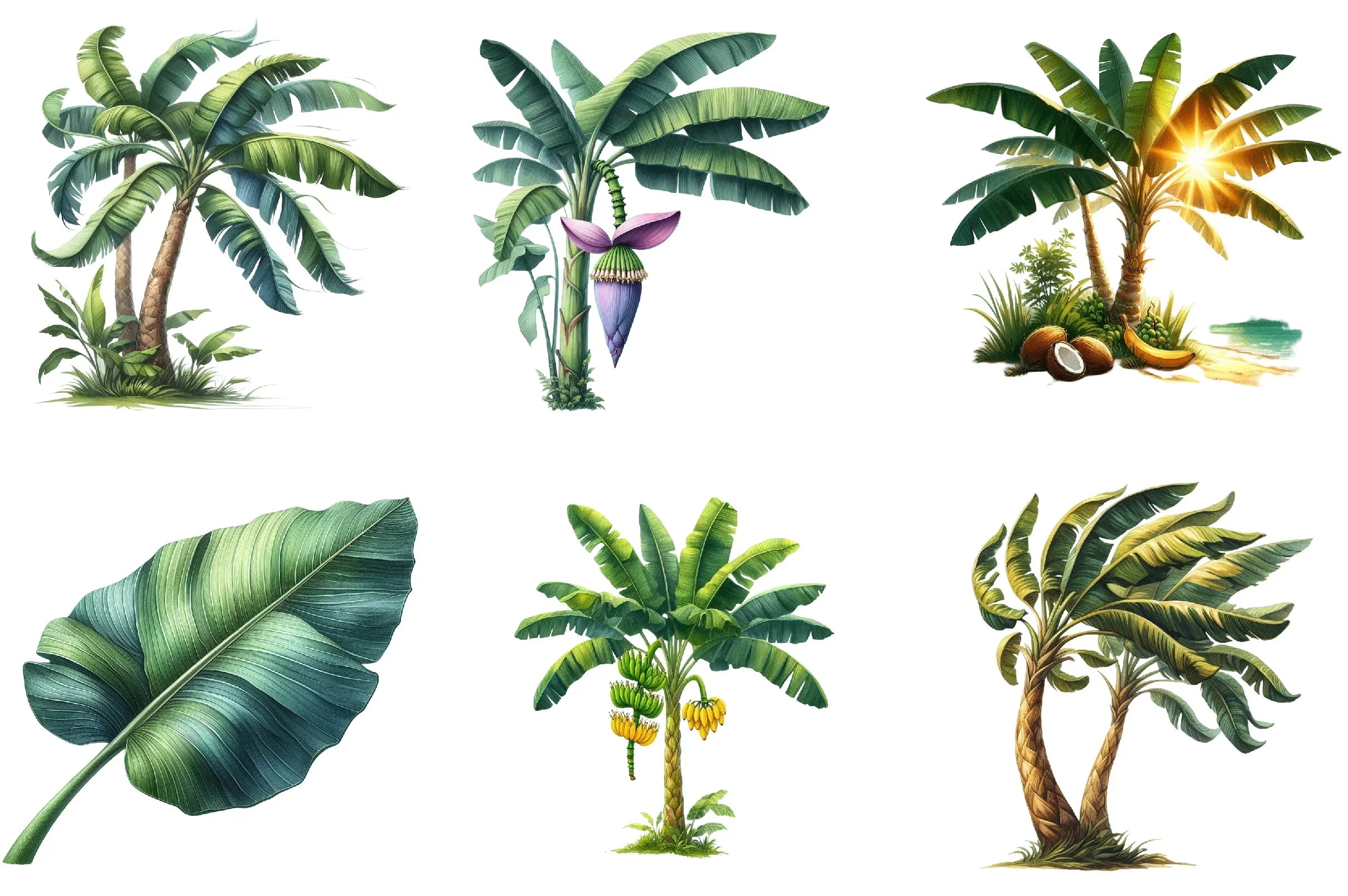 Banana Tree Free Clipart Bundle - CraftNest - Digital Crafting and Art