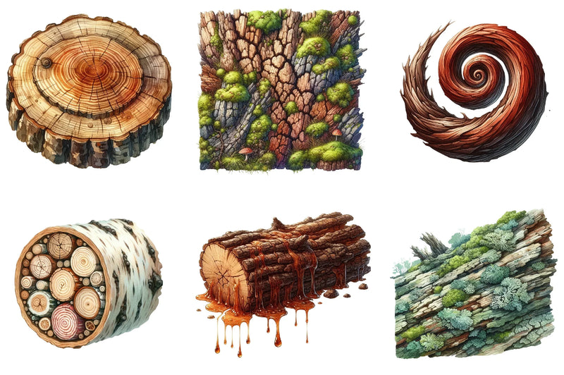 Tree Bark Clipart Bundle - CraftNest - Digital Crafting and Art
