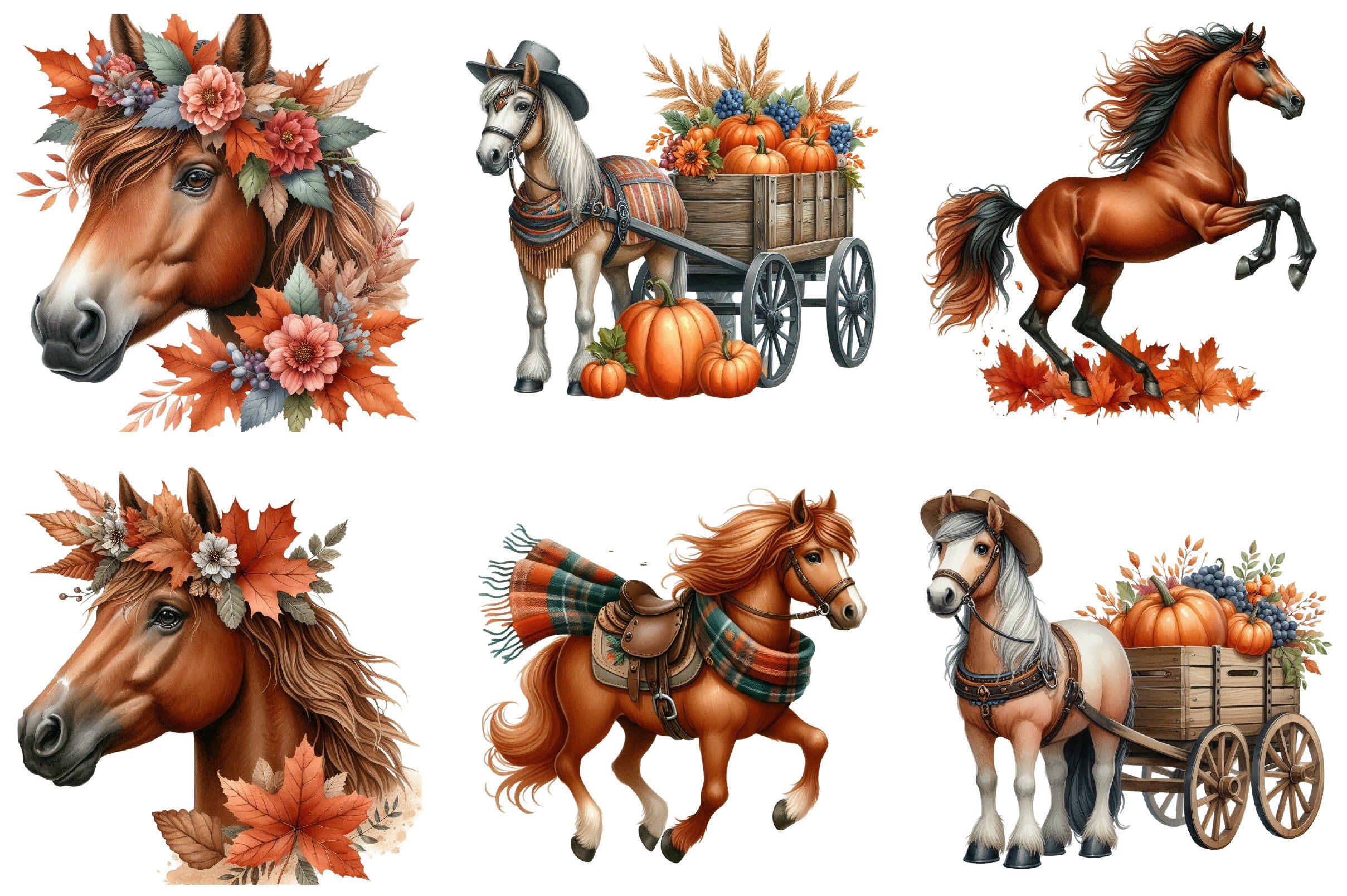 Autumn Brown Horse Clipart Bundle