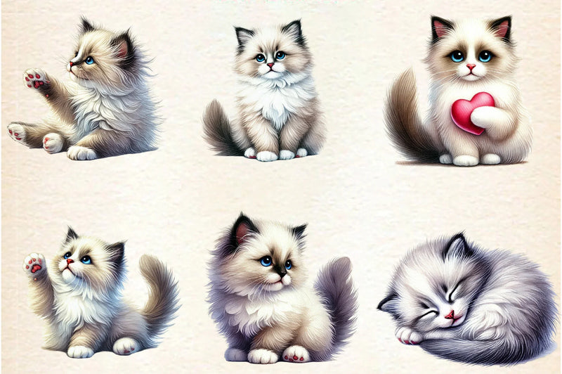 Ragdoll Cat Clipart Bundle - CraftNest - Digital Crafting and Art