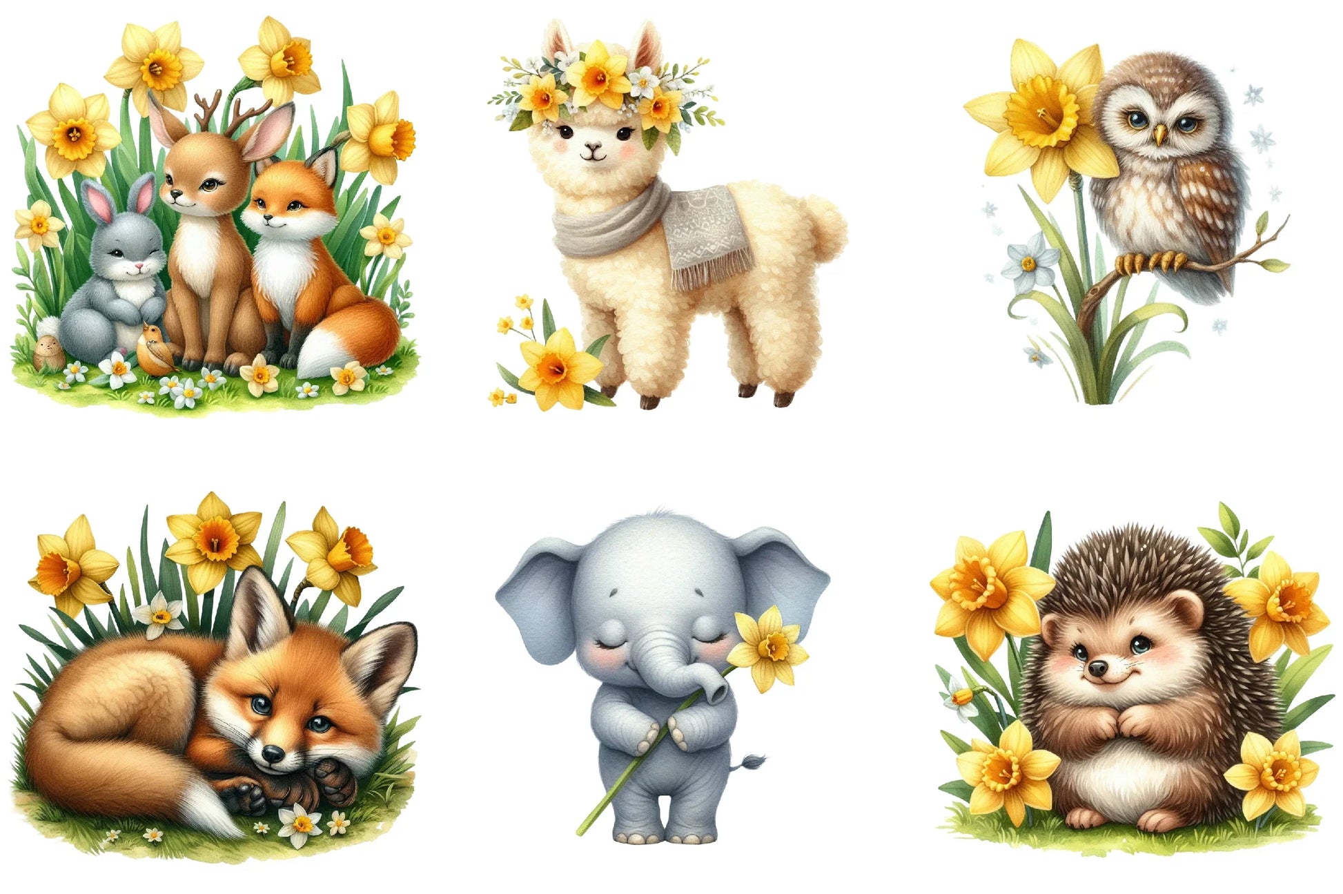 Daffodils Flowers Clipart Bundle - CraftNest - Digital Crafting and Art