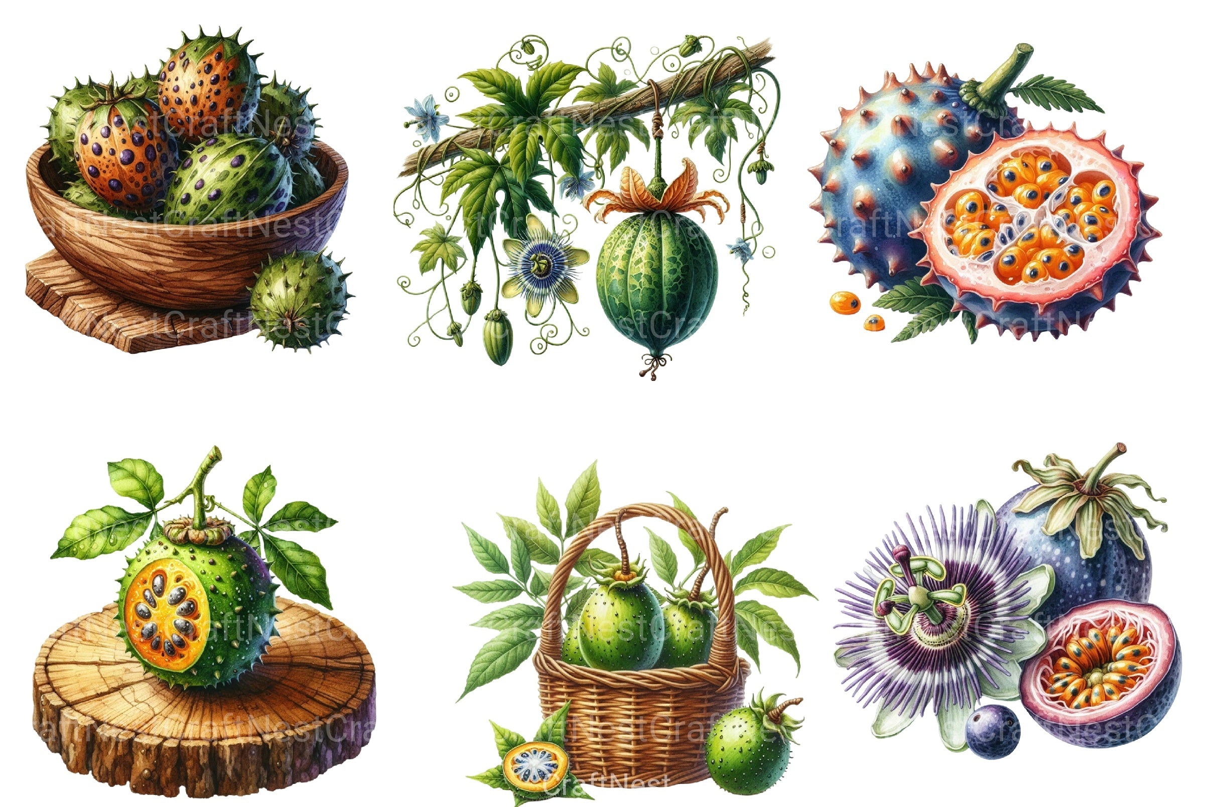 Maracuja Clipart Bundle - CraftNest - Digital Crafting and Art