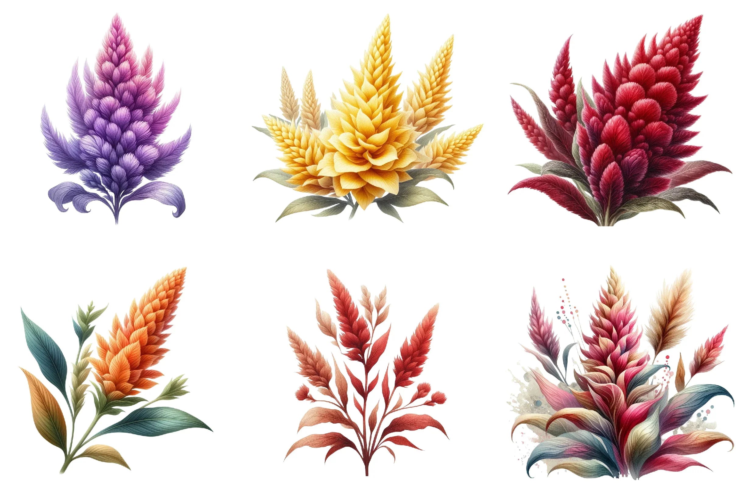 Celosia Flower Clipart Bundle - CraftNest - Digital Crafting and Art