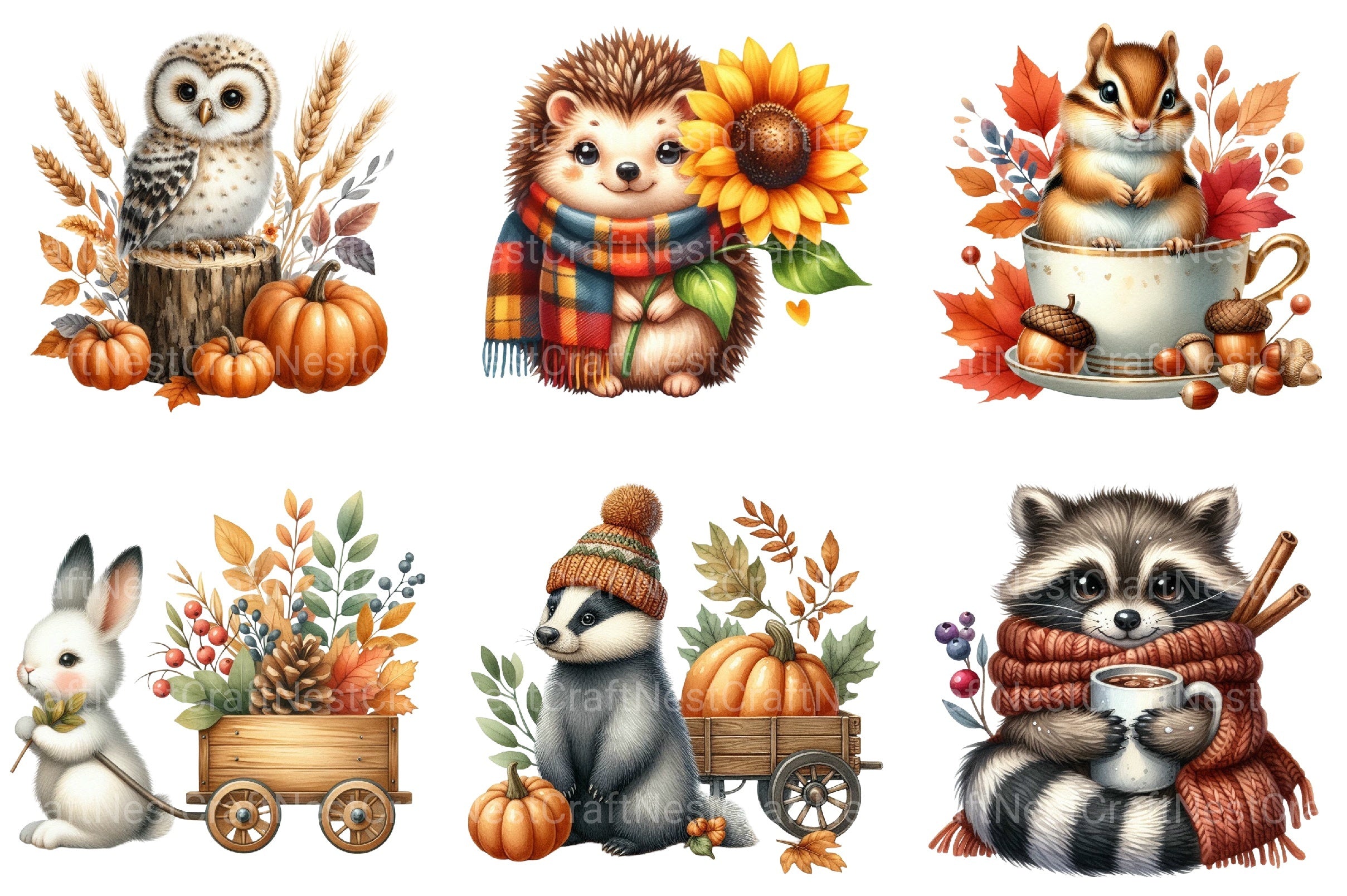 Autumn Forest Animal Clipart Bundle 99 - CraftNest - Digital Crafting and Art