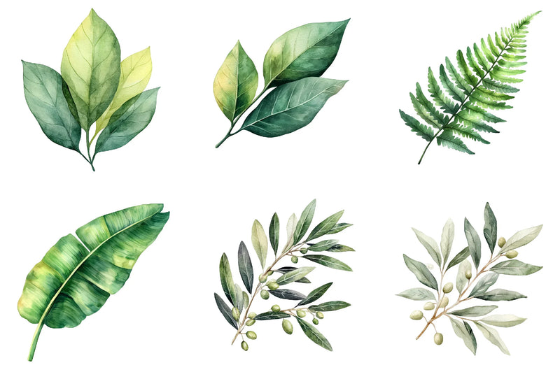 Green Summer Foliage Clipart Bundle - CraftNest - Digital Crafting and Art