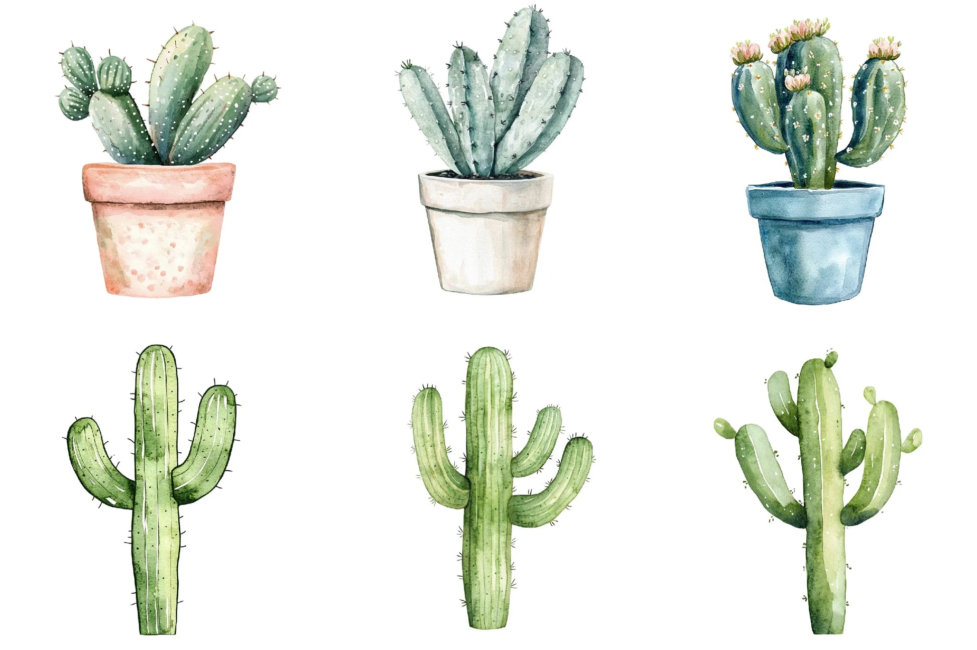 Cactus Doodle Clipart Bundle - CraftNest - Digital Crafting and Art