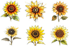 Sunflower Bloom Clipart Bundle - CraftNest - Digital Crafting and Art