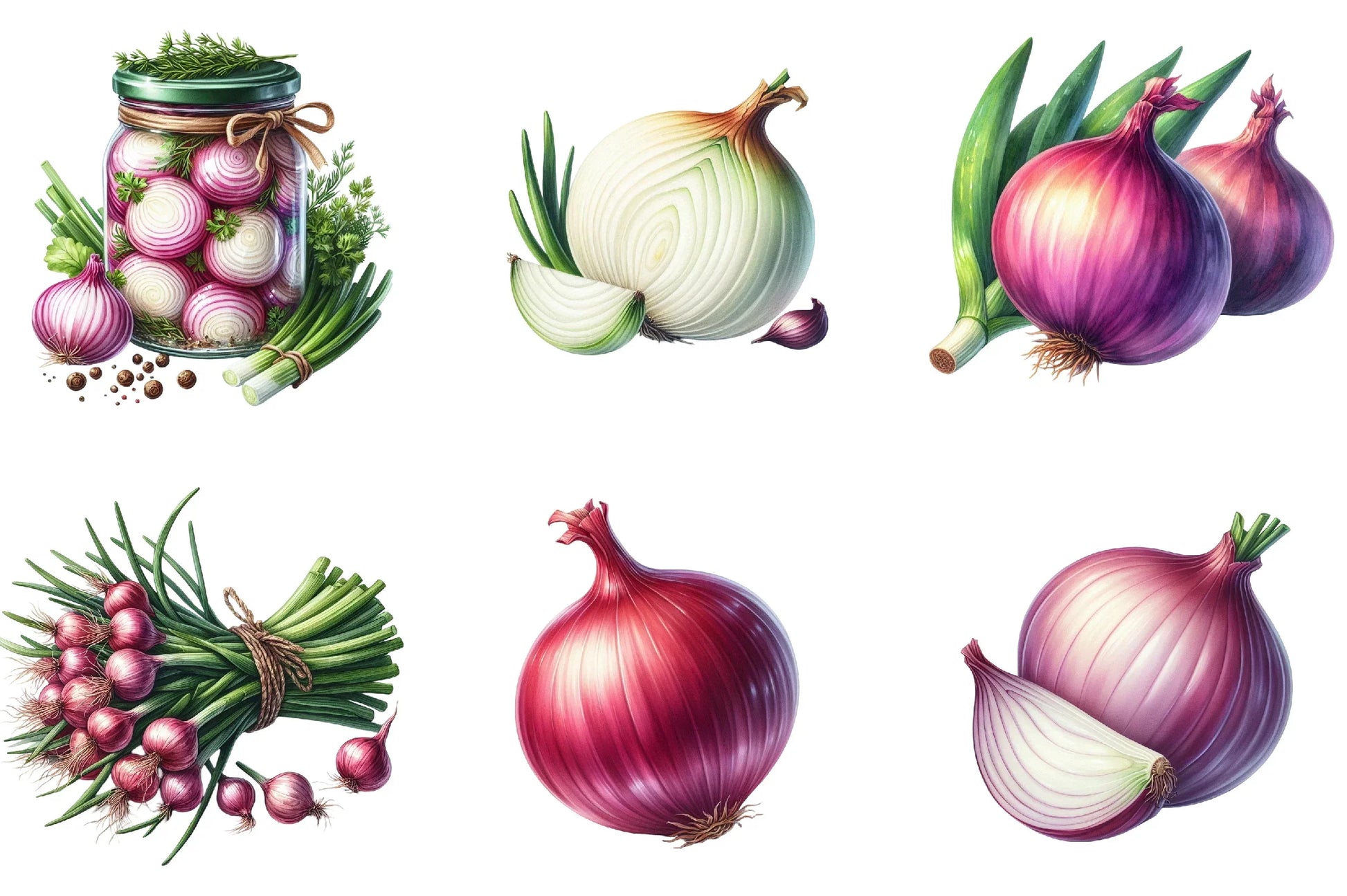 Onion Clipart Bundle - CraftNest - Digital Crafting and Art