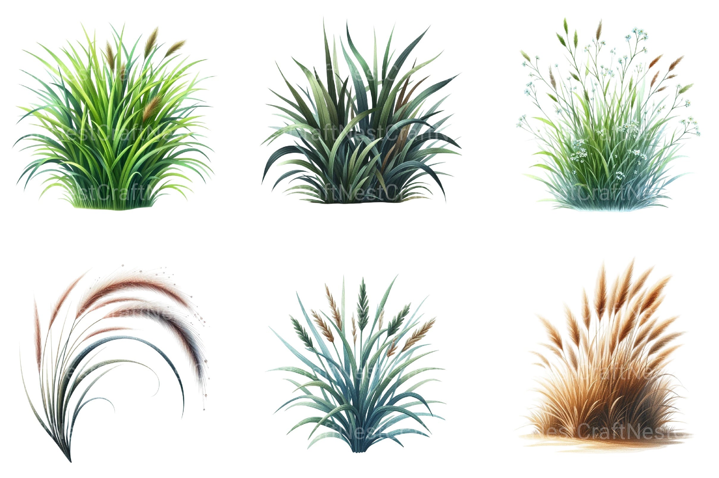 Grass Clipart Bundle for Creative Designs - CraftNest - Digital Crafting and Art