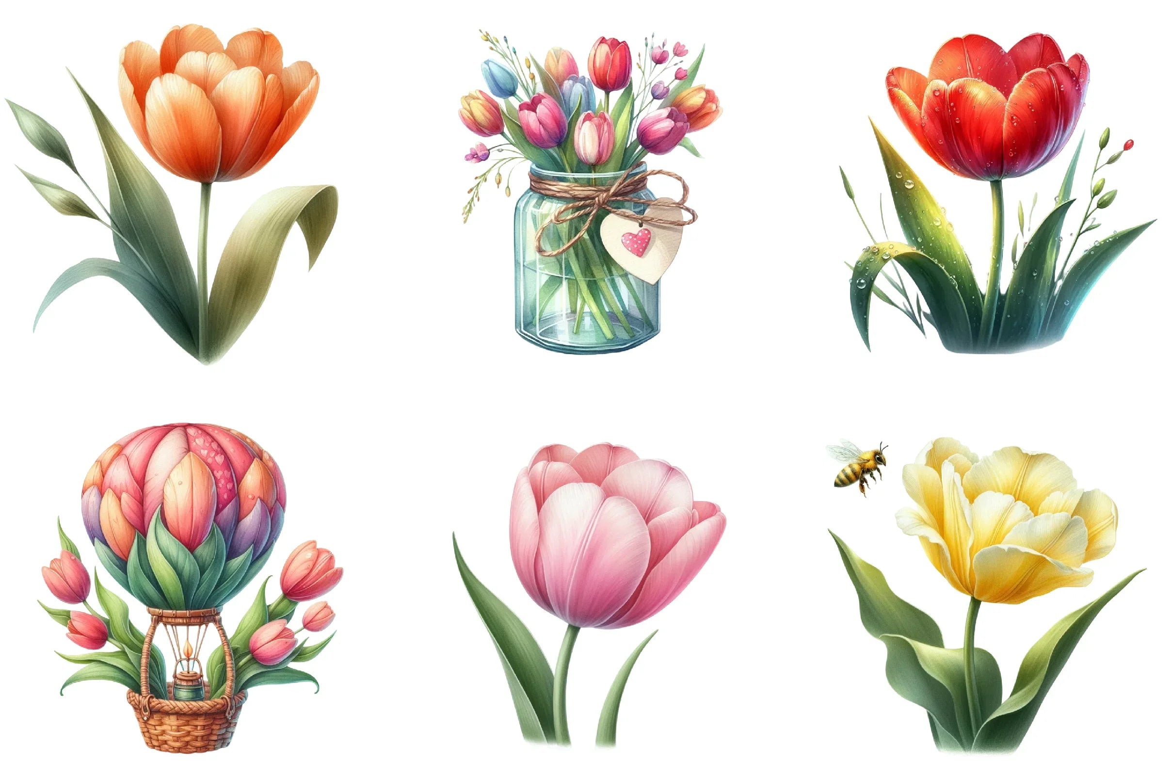 Amsterdam Summer Tulips Clipart Bundle - CraftNest - Digital Crafting and Art