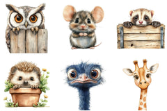 Quirky Animals Peeking Clipart Bundle - CraftNest - Digital Crafting and Art