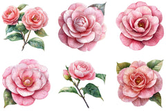 Camellia Flower Bloom Clipart Bundle 99 - CraftNest - Digital Crafting and Art