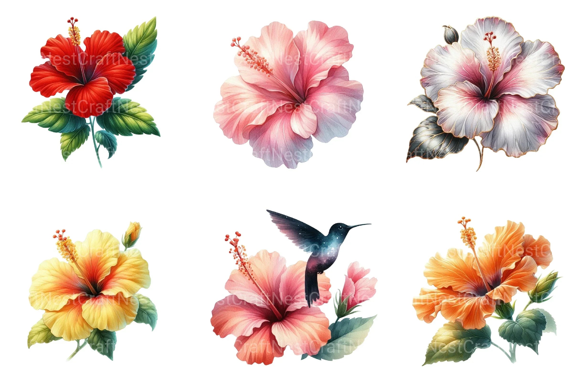 Hibiscus Flower Clipart Bundle 2 - CraftNest - Digital Crafting and Art