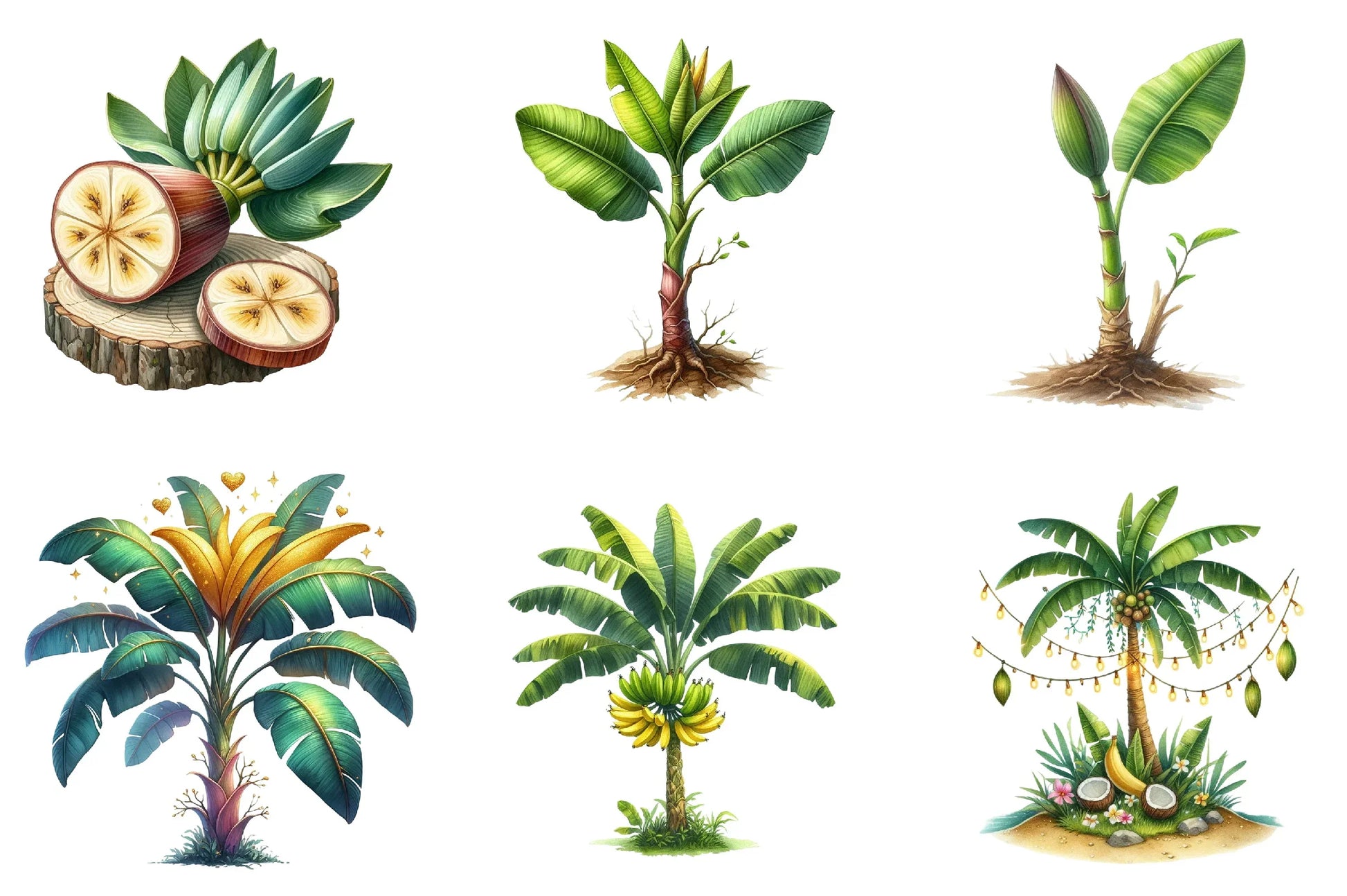 Banana Tree Free Clipart Bundle - CraftNest - Digital Crafting and Art
