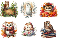 Owl Clipart Bundle - CraftNest - Digital Crafting and Art
