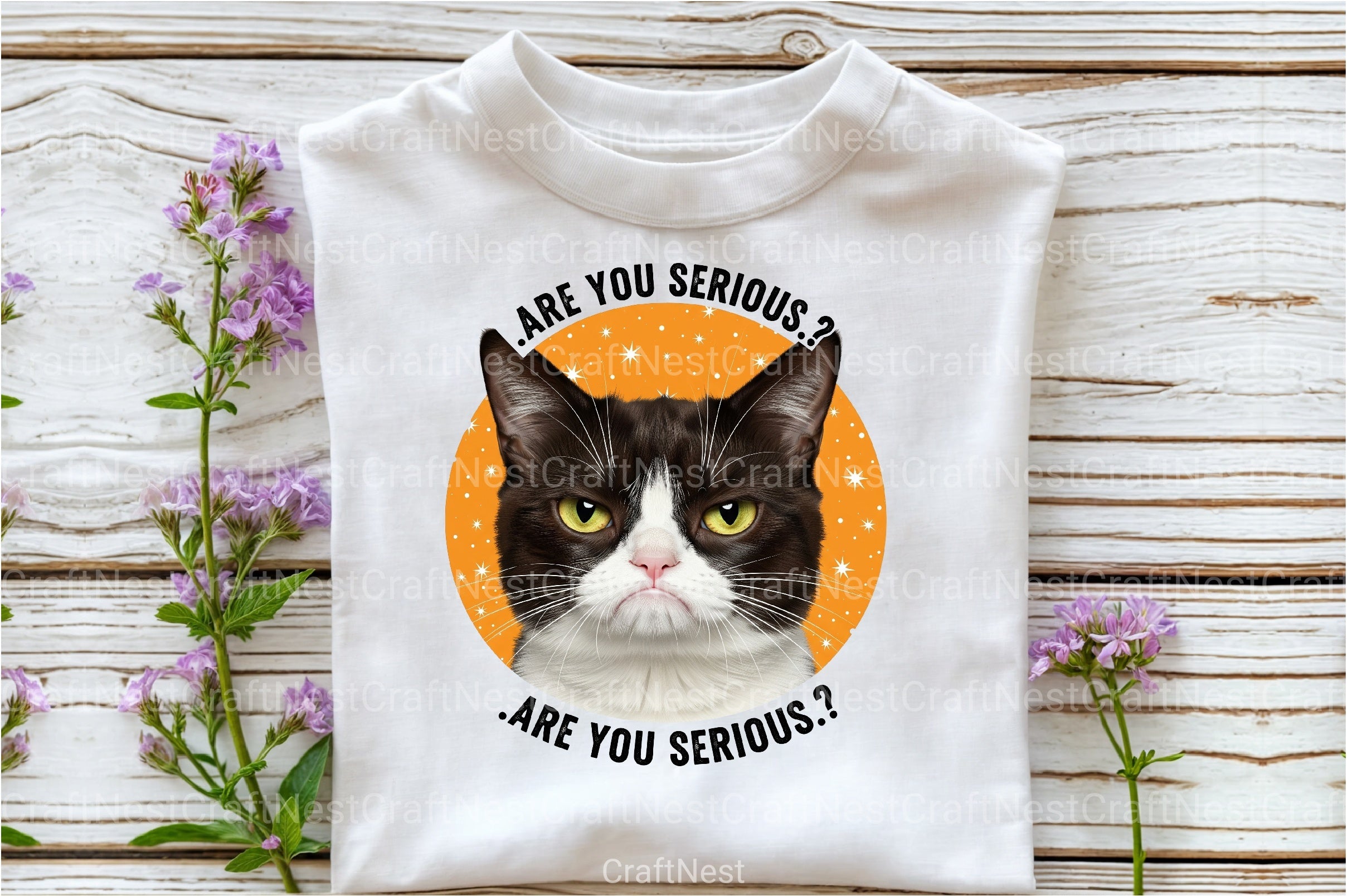 Funny Cat Quotes Clipart Bundle 3 - CraftNest - Digital Crafting and Art