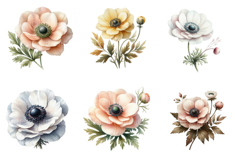 Anemone Flower Bloom Clipart Bundle 33 - CraftNest - Digital Crafting and Art