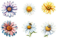 Summer Daisy Clipart Bundle - CraftNest - Digital Crafting and Art