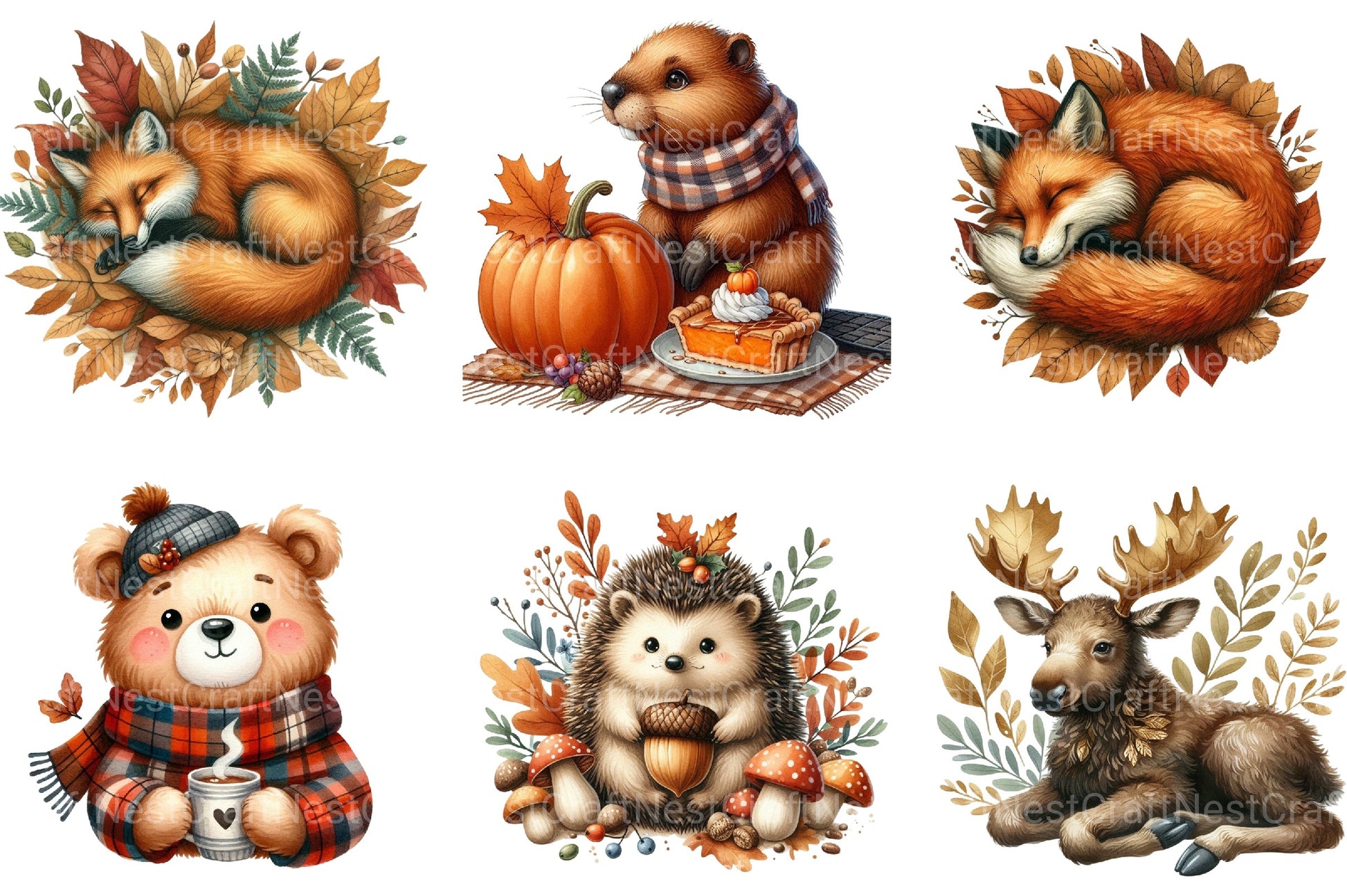 Autumn Animal Fall Clipart Bundle - CraftNest - Digital Crafting and Art