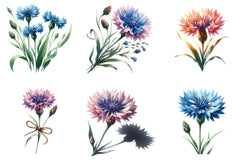 Blue Cornflower Clipart Bundle - CraftNest - Digital Crafting and Art