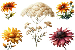 Autumn Wildflowers Clipart Bundle 99 - CraftNest - Digital Crafting and Art