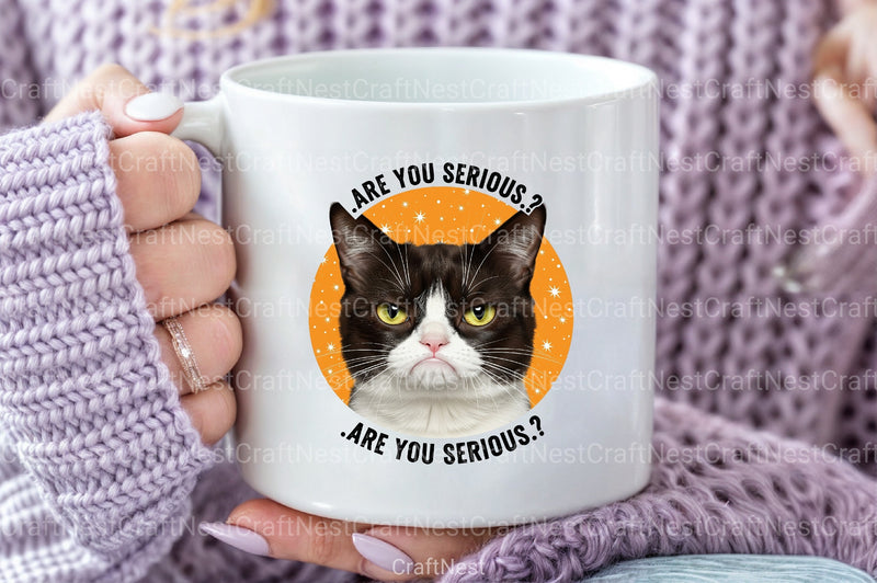 Funny Cat Quotes Clipart Bundle 3 - CraftNest - Digital Crafting and Art