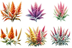 Celosia Flower Clipart Bundle - CraftNest - Digital Crafting and Art