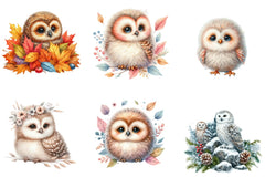 Owl Clipart Bundle - CraftNest - Digital Crafting and Art