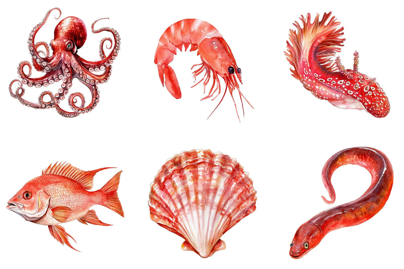 Red Ocean Animals Clipart Bundle - CraftNest - Digital Crafting and Art