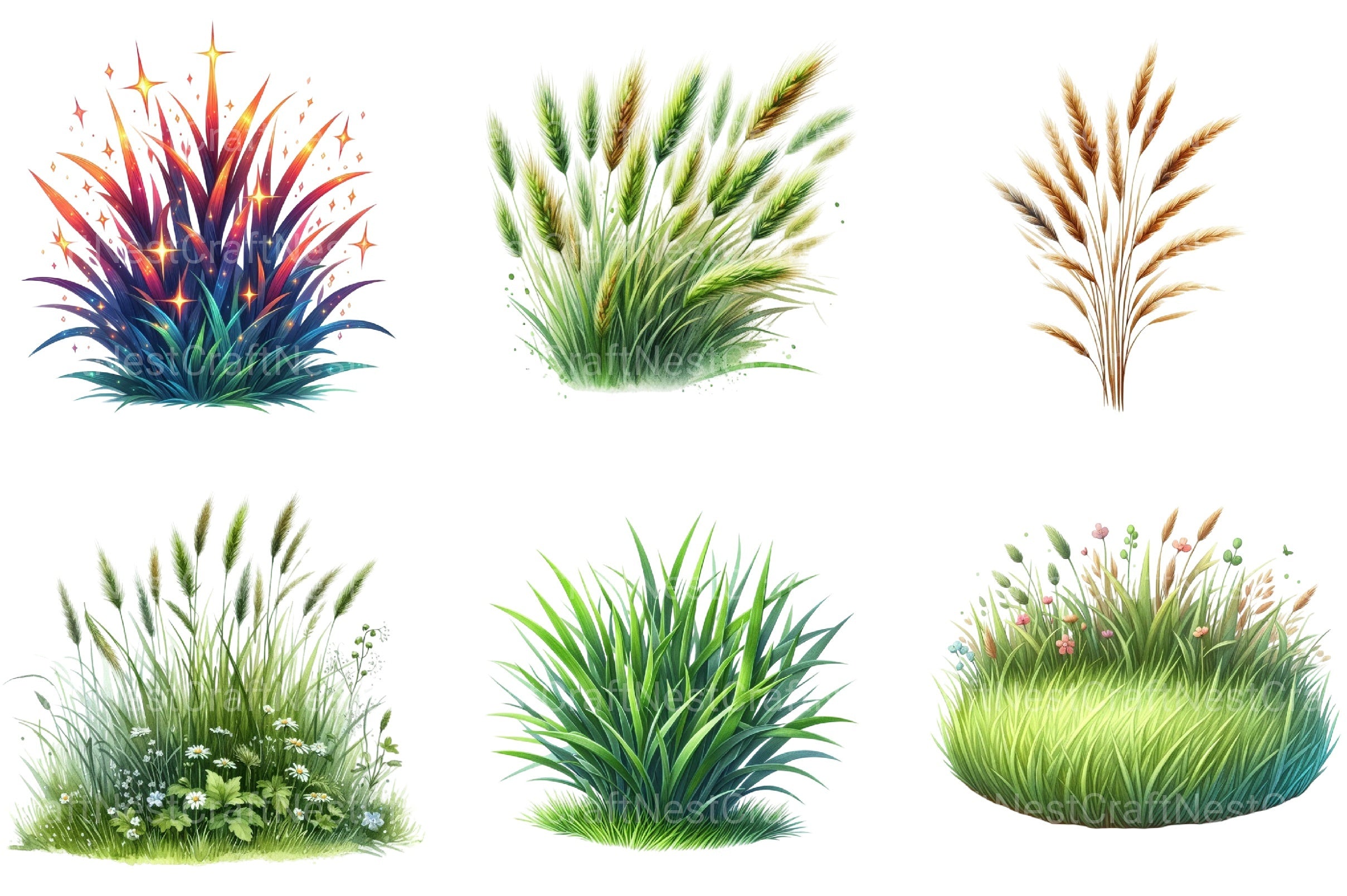 Grass Clipart Bundle for Creative Designs - CraftNest - Digital Crafting and Art