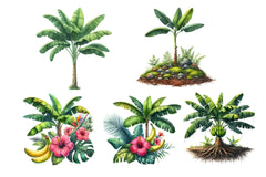 Banana Tree Free Clipart Bundle - CraftNest - Digital Crafting and Art