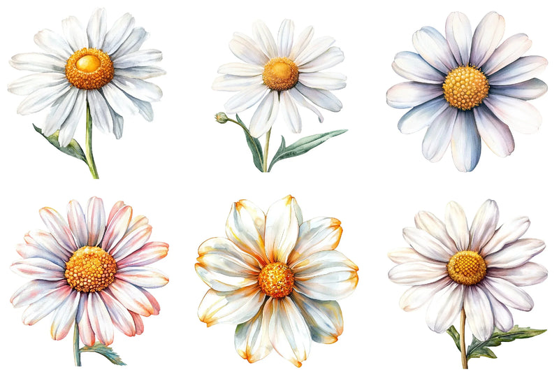 Daisy Flower Bloom Clipart Bundle - CraftNest - Digital Crafting and Art