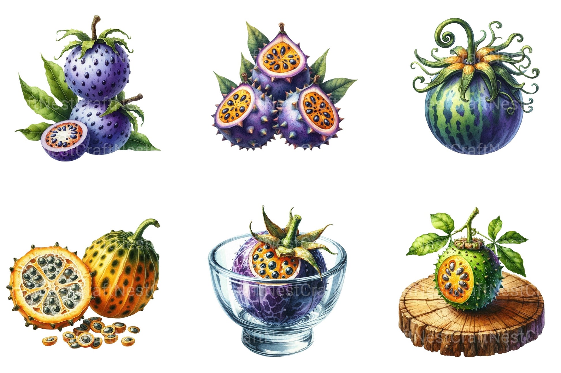 Maracuja Clipart Bundle - CraftNest - Digital Crafting and Art