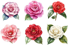 Camellia Flower Bloom Clipart Bundle 99 - CraftNest - Digital Crafting and Art