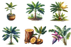Banana Tree Free Clipart Bundle - CraftNest - Digital Crafting and Art