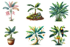 Banana Tree Free Clipart Bundle - CraftNest - Digital Crafting and Art