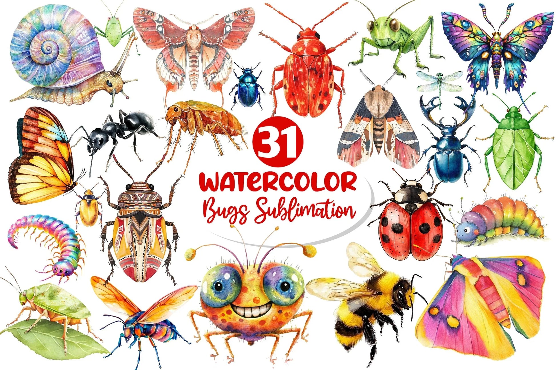 Bugs Clipart Bundle - CraftNest - Digital Crafting and Art