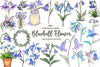 Little Bluebell Flower Bloom Clipart Bundle