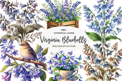 Spring Virginia Bluebells Flower Clipart Bundle - CraftNest - Digital Crafting and Art