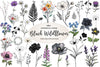 Black Wildflower Clipart Bundle