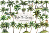 Palm Tree Serenity Clipart Bundle